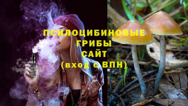 синтетический гашиш Верхний Тагил